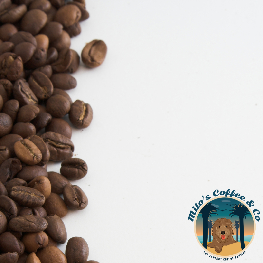 The Role of Coffee in The Workplace and Productivity